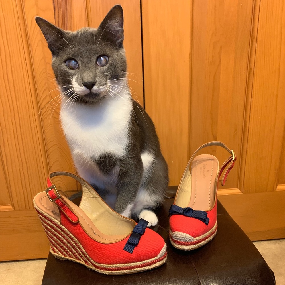 Kate Spade Red and Navy Wedges